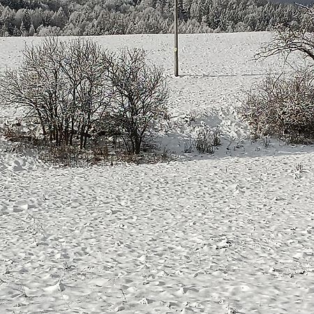 Ubytovani U Babicky Velké Losiny Zewnętrze zdjęcie